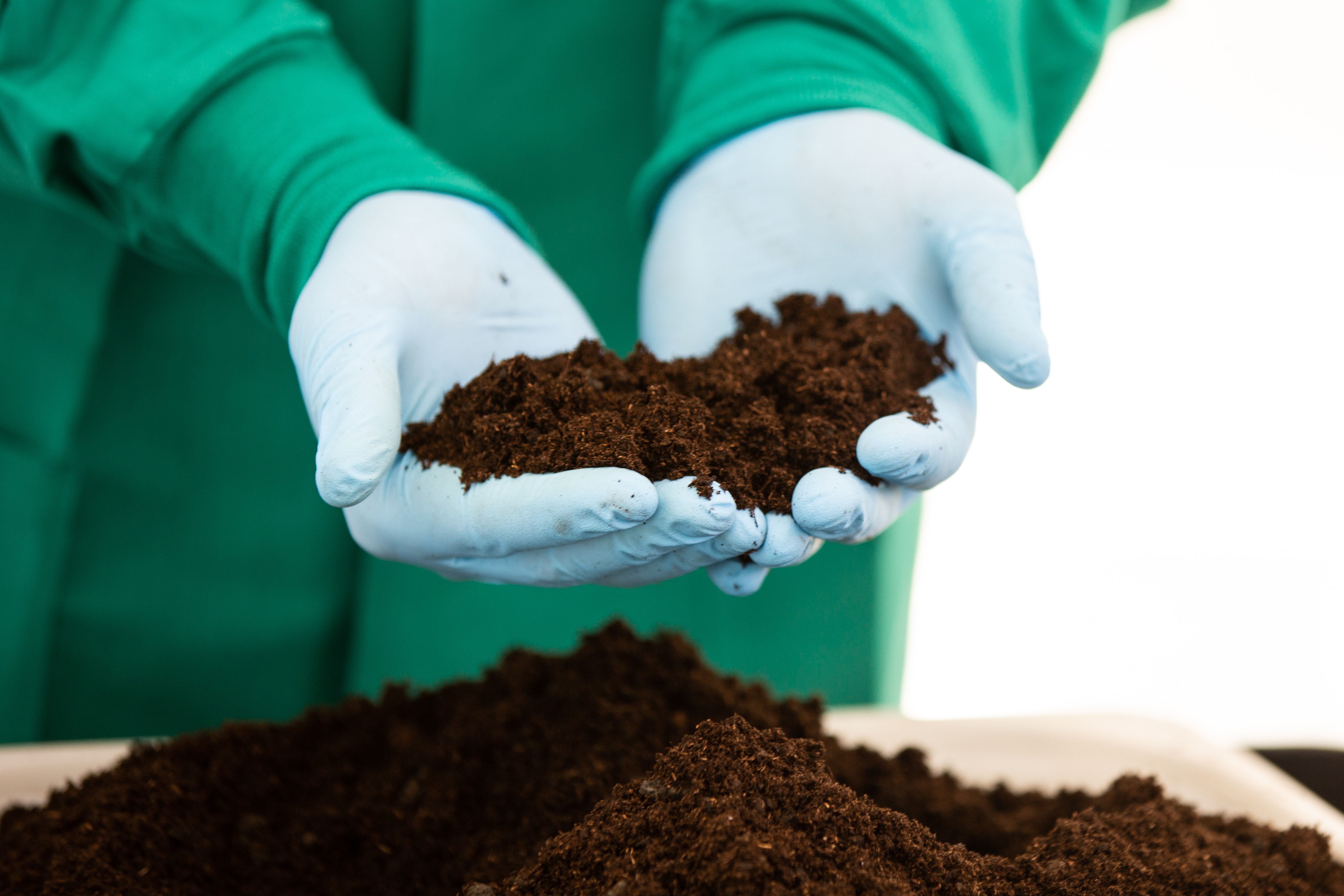 Desert Compost